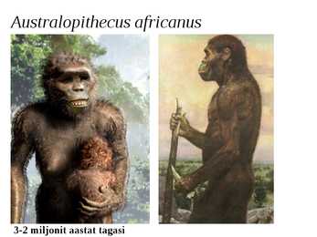 Inimese evolutsioon #5