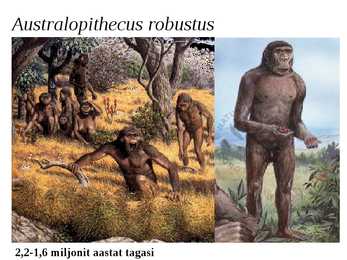 Inimese evolutsioon #6
