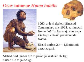 Inimese evolutsioon #7