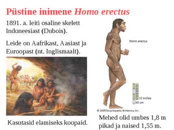 Inimese evolutsioon #9