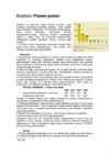Biodiisel