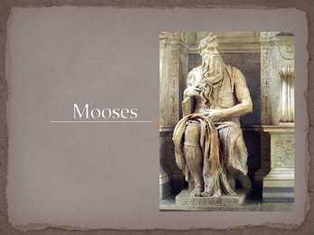 Mooses