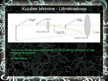 Nimetu #11