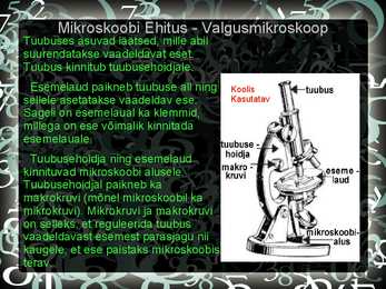 Nimetu #8