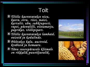Tšiili Vabariik #23