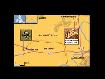 Stonehenge powerpoint #3