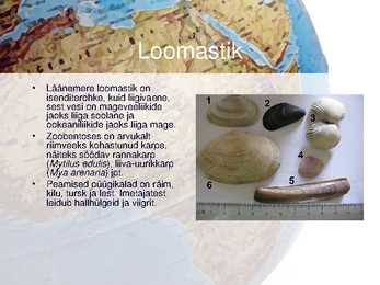 Läänemeri #4