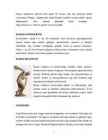 Rooma kunst #7