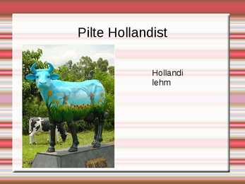 Holland #8