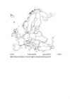 Euroopa kääbusriigid #2