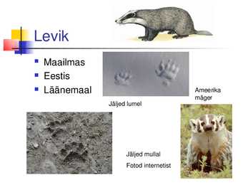 Powerpoint mägrast #3
