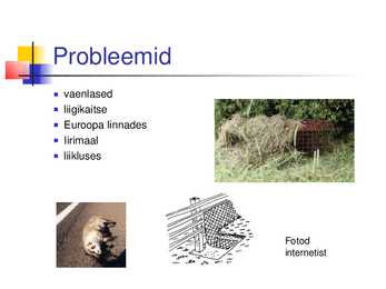 Powerpoint mägrast #7