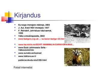 Powerpoint mägrast #8