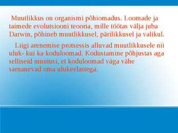 Nimetu #11