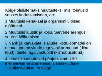 Nimetu #13