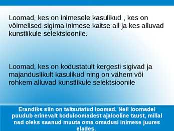 Nimetu #6