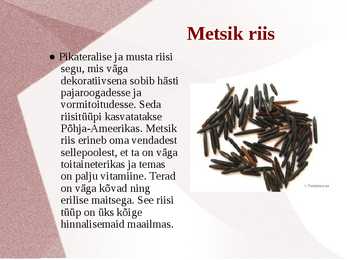 Riis #11