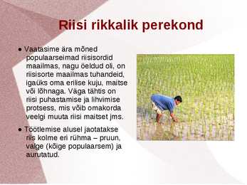 Riis #14