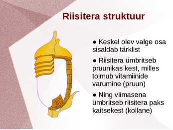 Riis #3