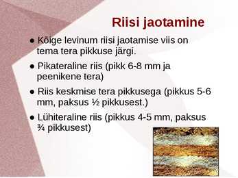 Riis #4