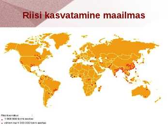 Riis #6
