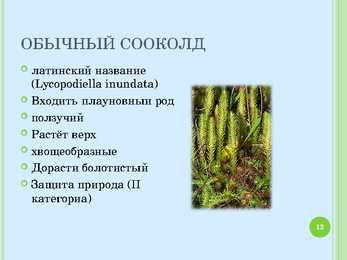Soomaa rahvuspargi ppt #12