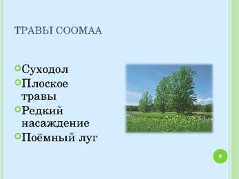 Soomaa rahvuspargi ppt #6