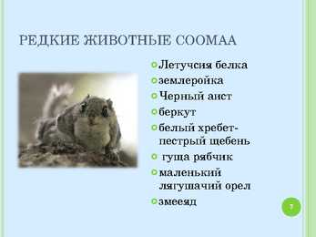 Soomaa rahvuspargi ppt #7
