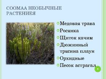 Soomaa rahvuspargi ppt #8