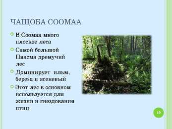 Soomaa rahvuspargi ppt #10