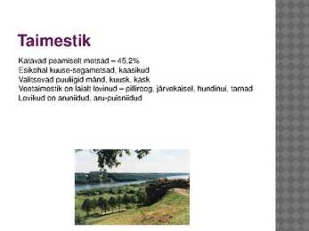 Viljandimaa #8