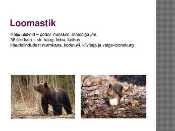 Viljandimaa #9