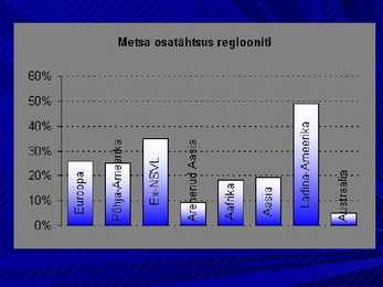 Metsamajandus #6