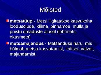 Metsamajandus #8