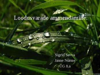 Loodusvarade ammendamine