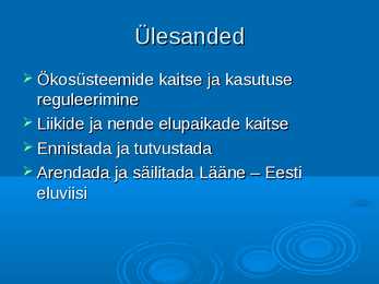 Vilsandi Rahvuspark #5