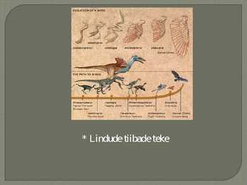 Darwini evolutsiooniteooria vastuolud #5