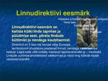 Natura 2000 #5