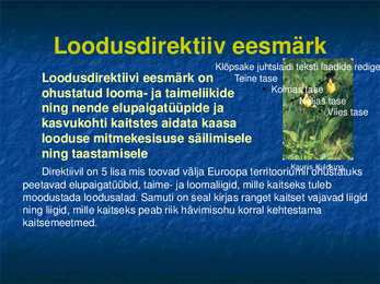 Natura 2000 #6
