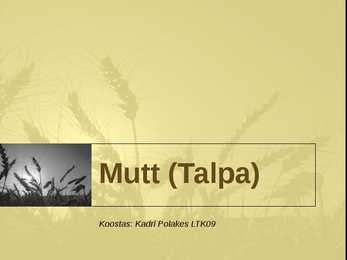 Mutt