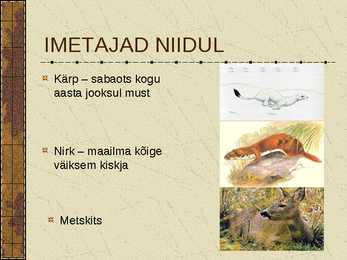 Eesti Niidud #12