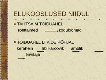 Eesti Niidud #13