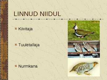 Eesti Niidud #10