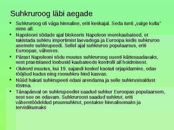 Suhkruroog #11