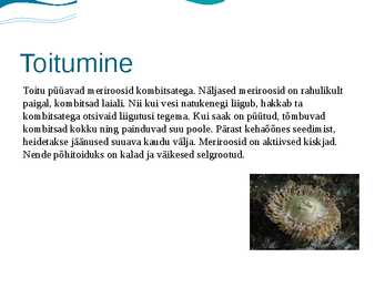 Meriroosid #5
