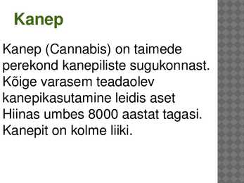 Powerpoint kanepi kohta #2