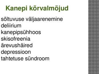 Powerpoint kanepi kohta #11