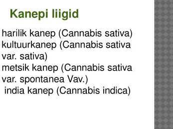 Powerpoint kanepi kohta #4