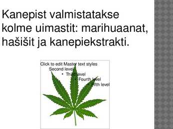 Powerpoint kanepi kohta #6