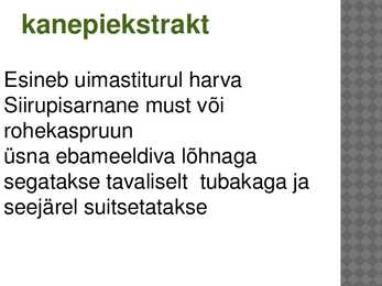 Powerpoint kanepi kohta #9